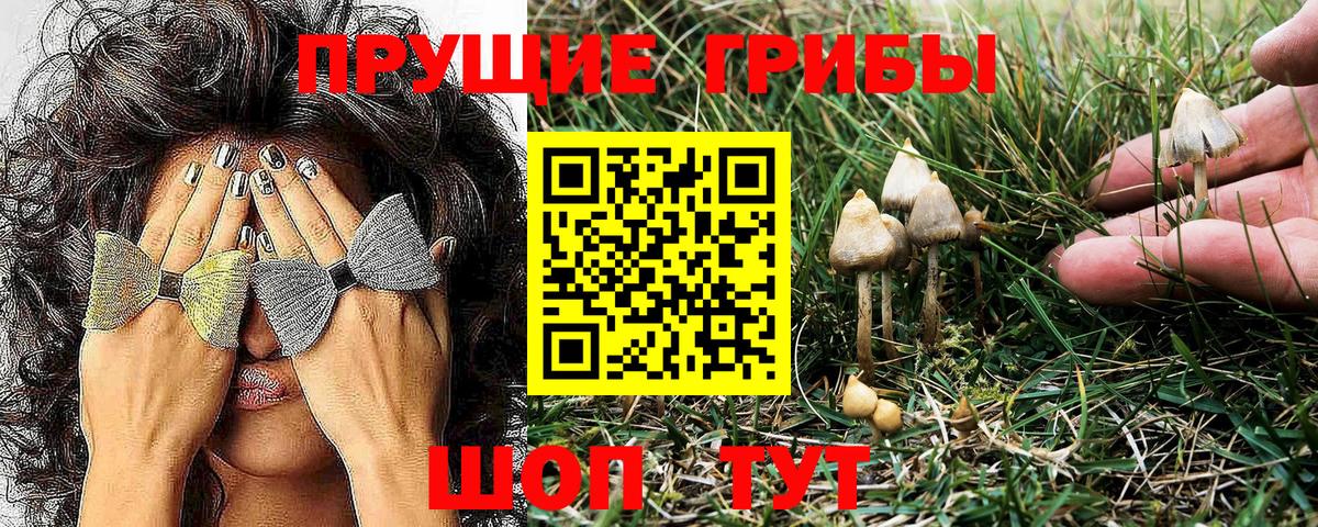 Галлюциногенные грибы MAGIC MUSHROOMS Ипатово